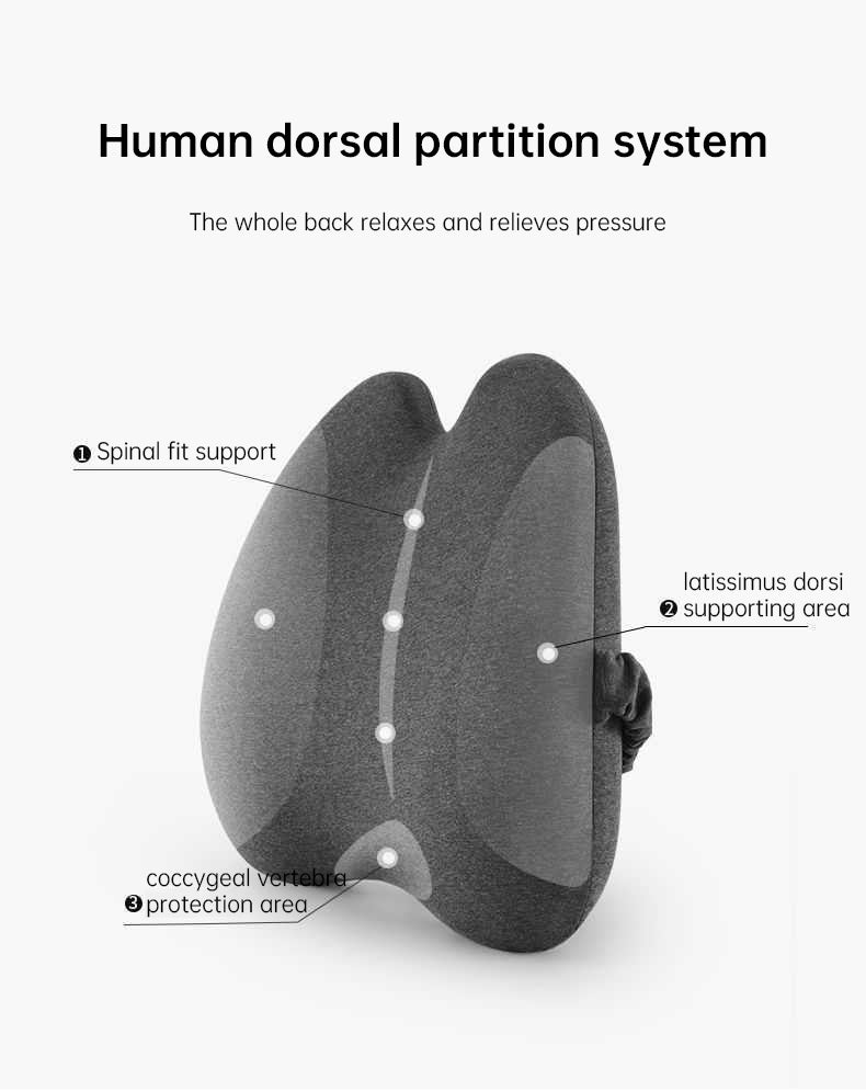 Lab Extra Dense Lumbar Pillow - Patented Ergonomic Multi-Region Firm Back Support for Lower Back Pain Relief - Lumbar Su - Moze