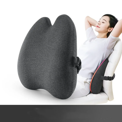 Lab Extra Dense Lumbar Pillow - Patented Ergonomic Multi-Region Firm Back Support for Lower Back Pain Relief - Lumbar Su - Moze