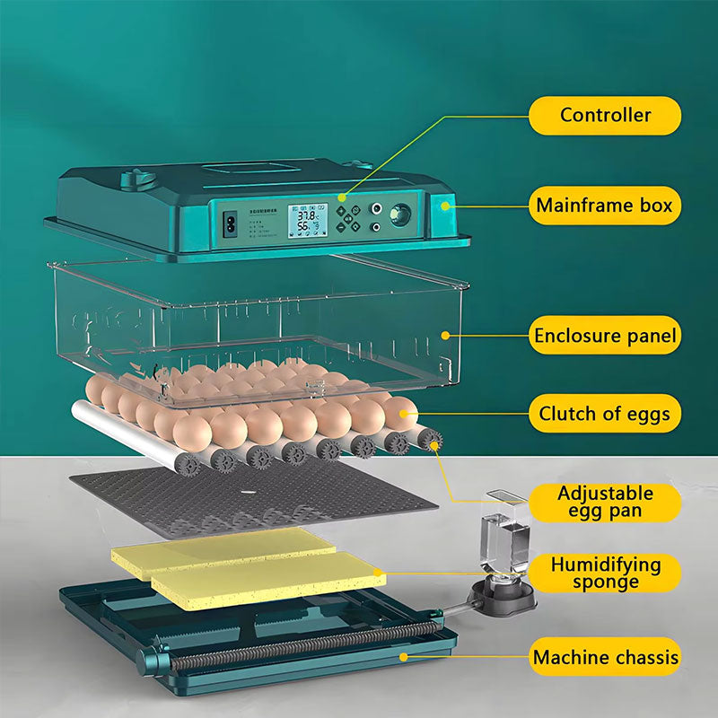24/36 Egg Incubator Fully Automatic, Auto Turner & Temp Control, Dual Power 220V/12V Mini Poultry Hatcher for Chicken Duck - Moze