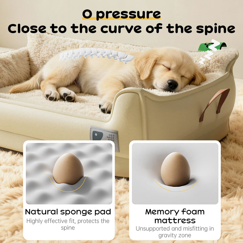 Heavy-Duty All-Weather Dog House: Chew-Resistant, Portable & Washable for Medium/Large Dogs - Moze