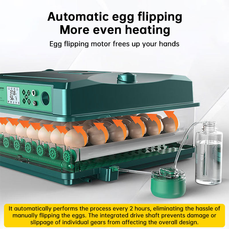 24/36 Egg Incubator Fully Automatic, Auto Turner & Temp Control, Dual Power 220V/12V Mini Poultry Hatcher for Chicken Duck - Moze