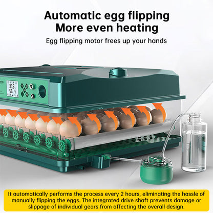 24/36 Egg Incubator Fully Automatic, Auto Turner & Temp Control, Dual Power 220V/12V Mini Poultry Hatcher for Chicken Duck - Moze
