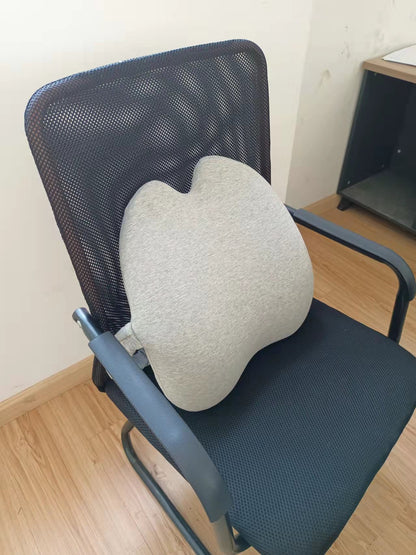 Lab Extra Dense Lumbar Pillow - Patented Ergonomic Multi-Region Firm Back Support for Lower Back Pain Relief - Lumbar Su - Moze